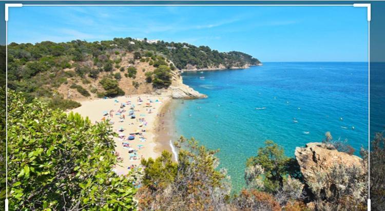 Cavalaire Vue Mer Au Loin Maisonnette Tout Equipee Pour 4 Personnes Avec Piscine Clim Wifi Velos Tv Barbecues Eksteriør billede