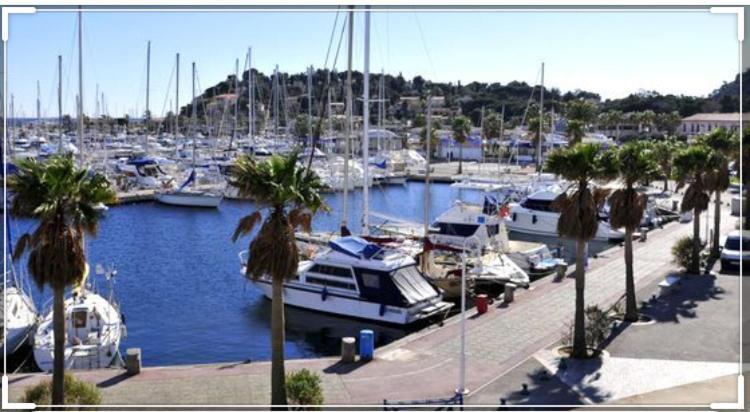 Cavalaire Vue Mer Au Loin Maisonnette Tout Equipee Pour 4 Personnes Avec Piscine Clim Wifi Velos Tv Barbecues Eksteriør billede