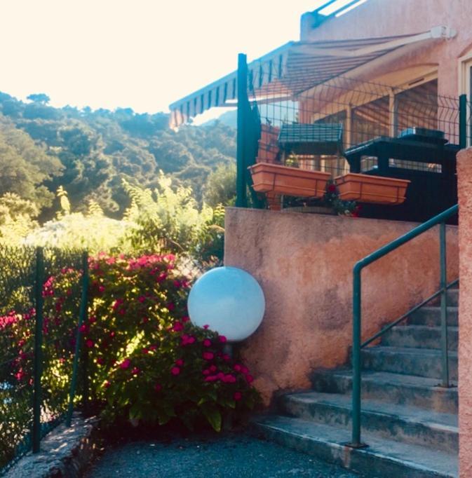 Cavalaire Vue Mer Au Loin Maisonnette Tout Equipee Pour 4 Personnes Avec Piscine Clim Wifi Velos Tv Barbecues Eksteriør billede