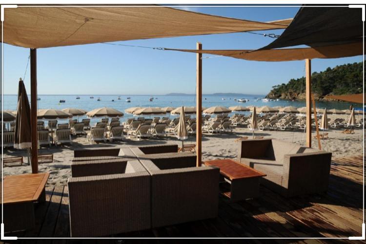 Cavalaire Vue Mer Au Loin Maisonnette Tout Equipee Pour 4 Personnes Avec Piscine Clim Wifi Velos Tv Barbecues Eksteriør billede