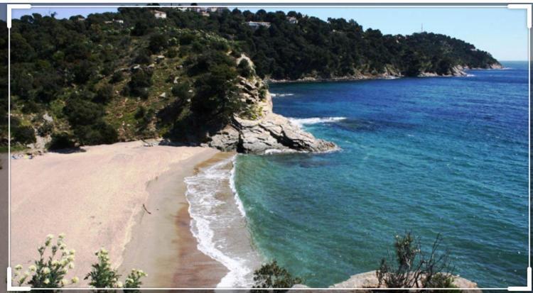 Cavalaire Vue Mer Au Loin Maisonnette Tout Equipee Pour 4 Personnes Avec Piscine Clim Wifi Velos Tv Barbecues Eksteriør billede